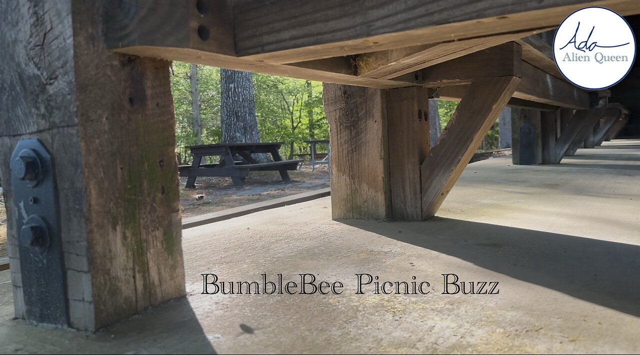 Ada Alien Queen • Earth Heart Beats • Take #00009 • BumbleBee Picnic Buzz