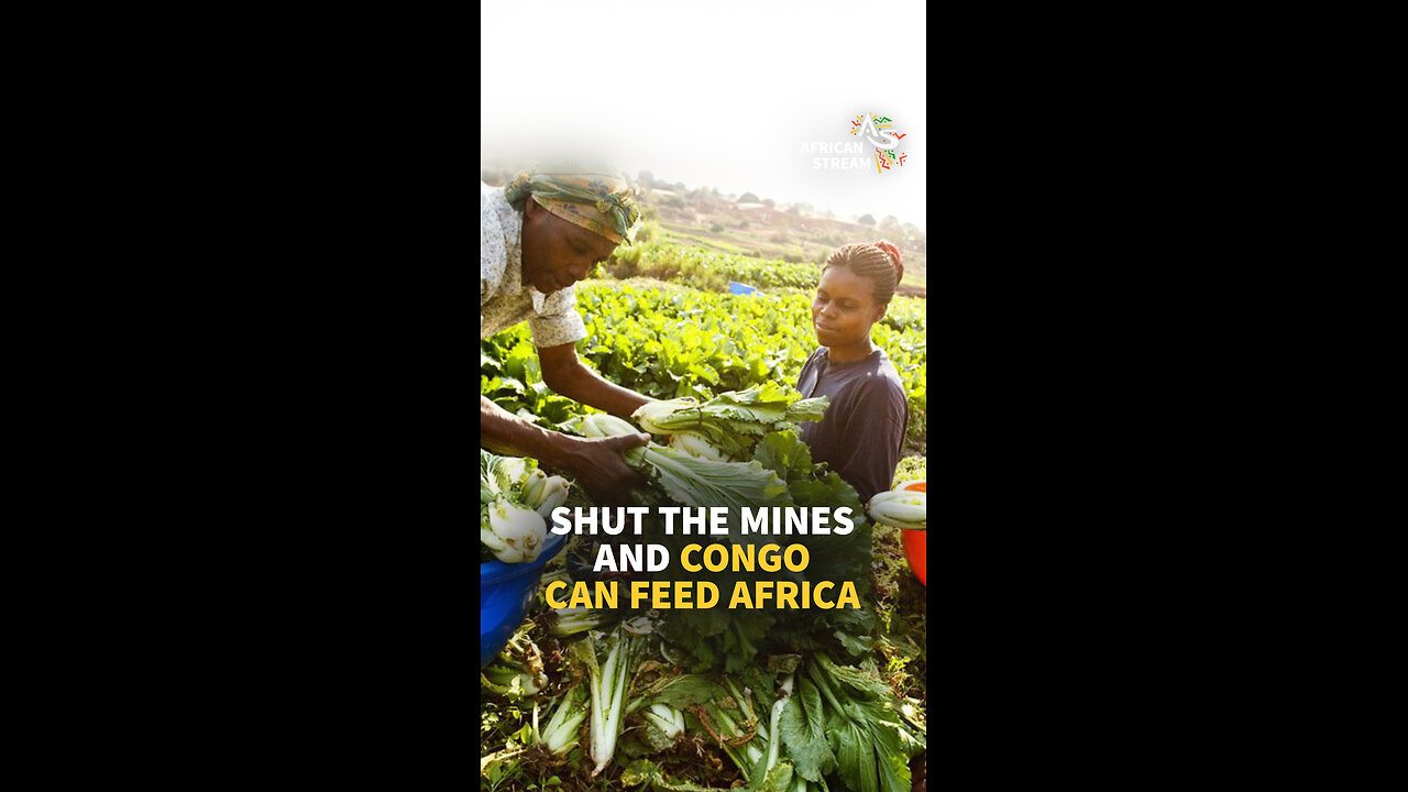 SHUT THE MINES AND CONGO CAN FEED AFRICA