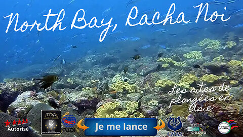 🐠 Racha Noi North Bay, Phuket, Un Site aux Multiples Visages pour Tous les Niveaux