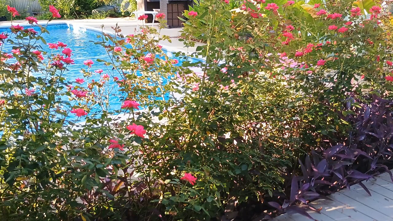saltwater pool / no system to buy
