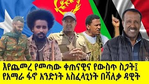 እየጨመረ የመጣው ቀጠናዊና የውስጥ ስጋት፤ የአማራ ፋኖ አንድነት አስፈላጊነት በሻለቃ ዳዊት ወ/ጊወርጊስ