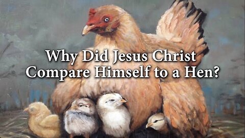 JESUS &BIRD IMAGERY: HEN & HER CHOOKS? WHO DID JESUS THINK HE WAS WHEN HE USED THE BIRD IMAGERY IN..