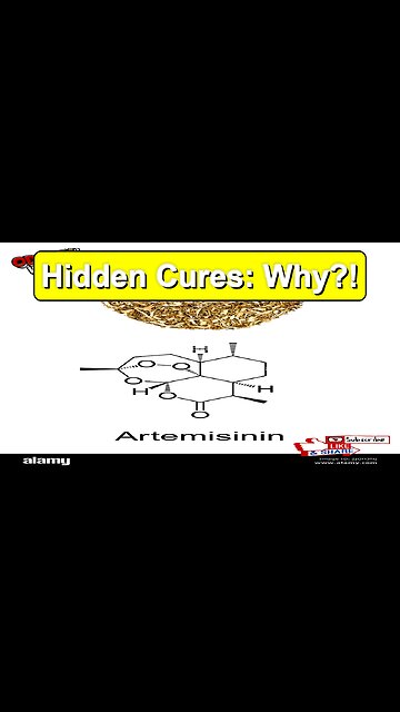 Big Pharma Conspiracy? The Shocking Truth About Suppressed Natural Cures