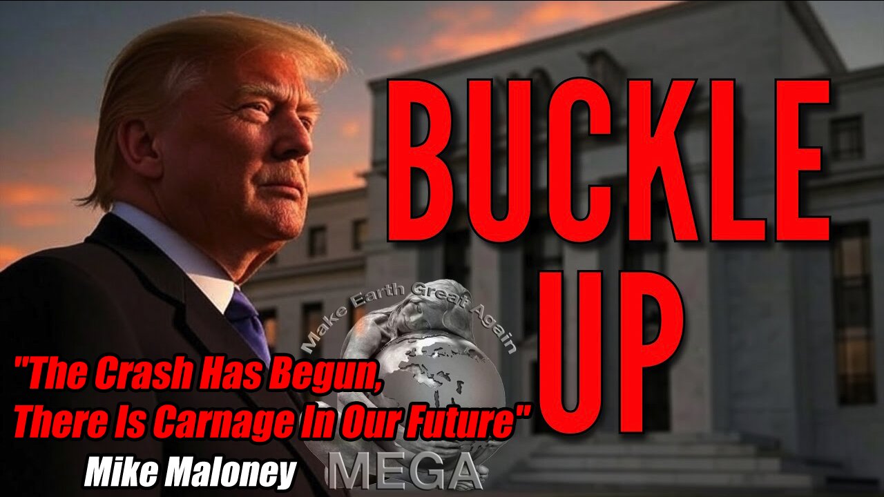 "The Crash Has Begun, There Is Carnage In Our Future" | Mike Maloney