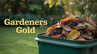 Compost Your Leaves Like a Pro