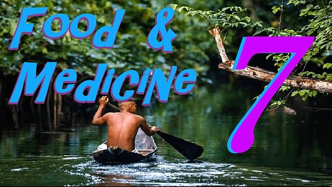 Food & Medicine 7