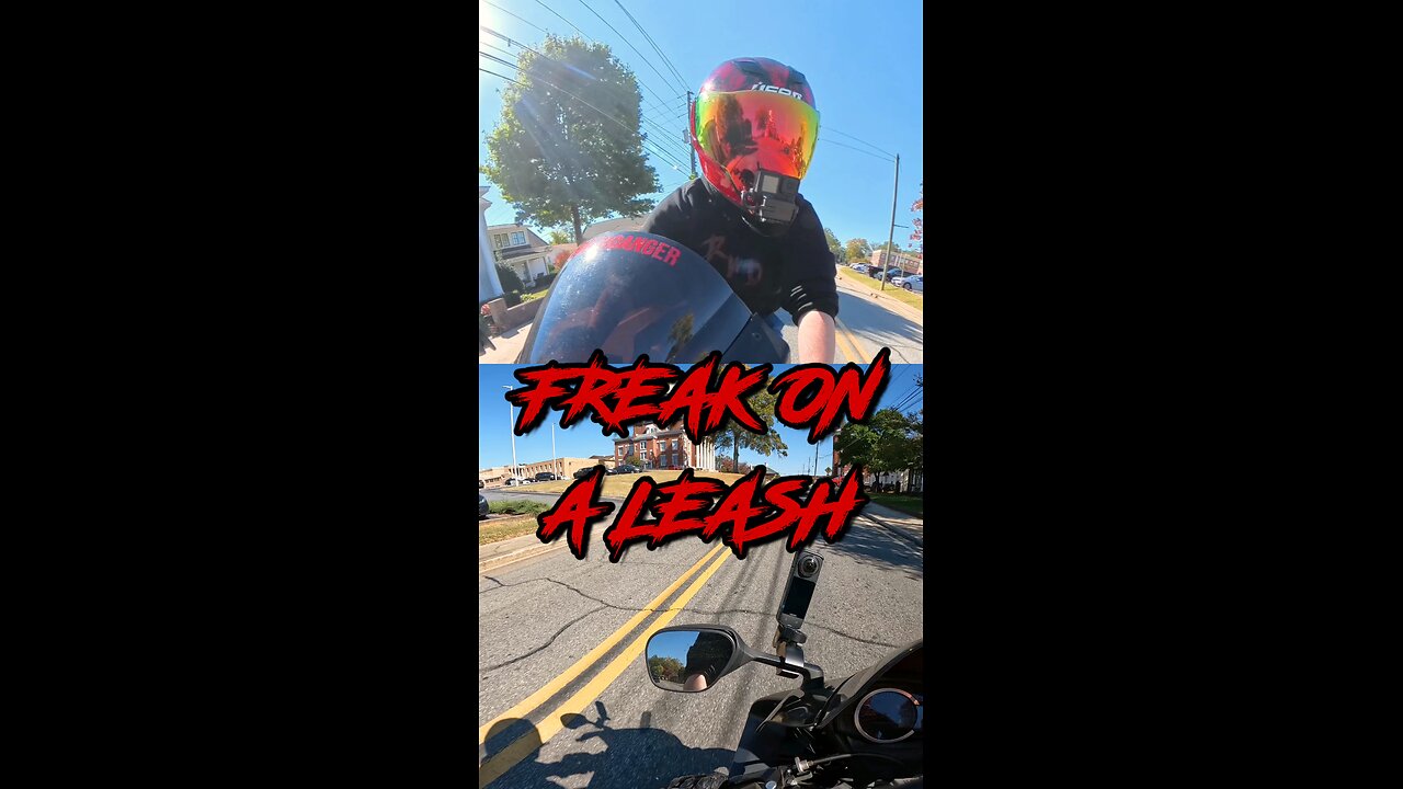 Freak on a Leash!