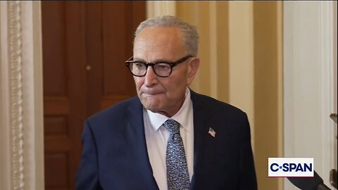 Reporter Calls Out Schumer: You've Never Called For Epstein Files Before