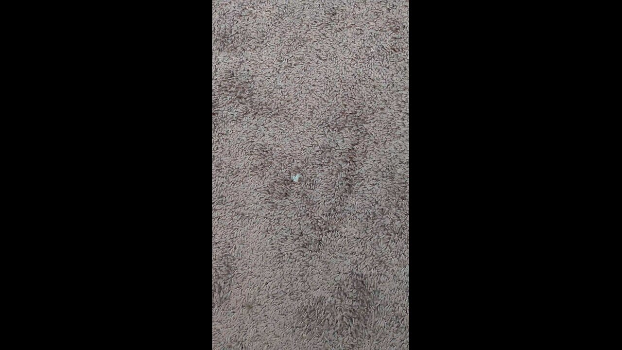 test 111