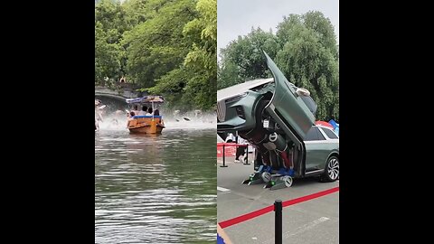 Many fish are jumping, it's a very beautiful scene. There is a robot car.