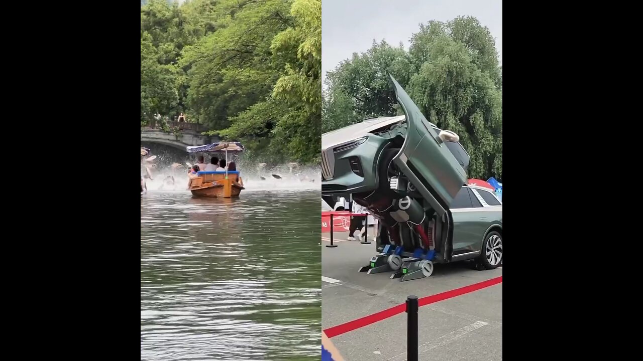 Many fish are jumping, it's a very beautiful scene. There is a robot car.