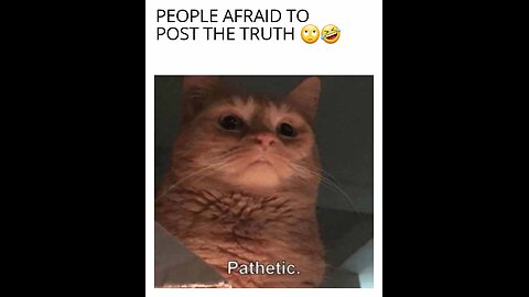 Coincidence Pointer Outer 🐇