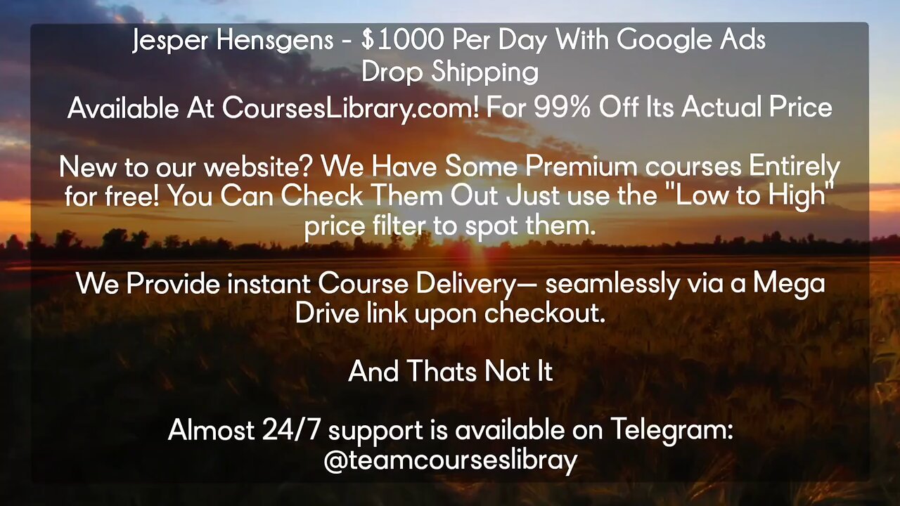 Jesper Hensgens - $1000 Per Day With Google Ads Drop Shipping
