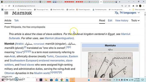 WHAT IS A MAMLUK