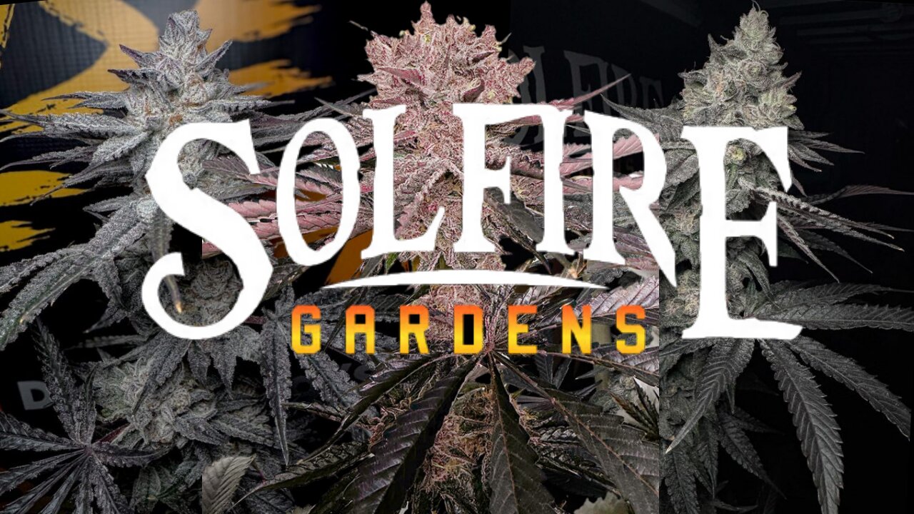 Solfire