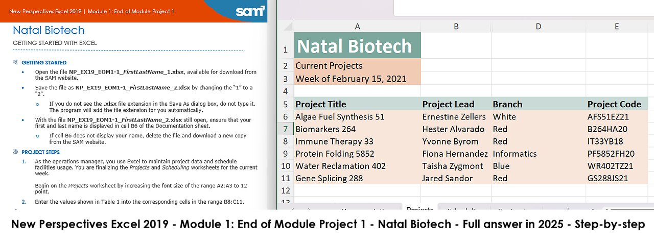 New Perspectives Excel 2019 | Module 1: End of Module Project 1 | Natal Biotech (Update 2025)