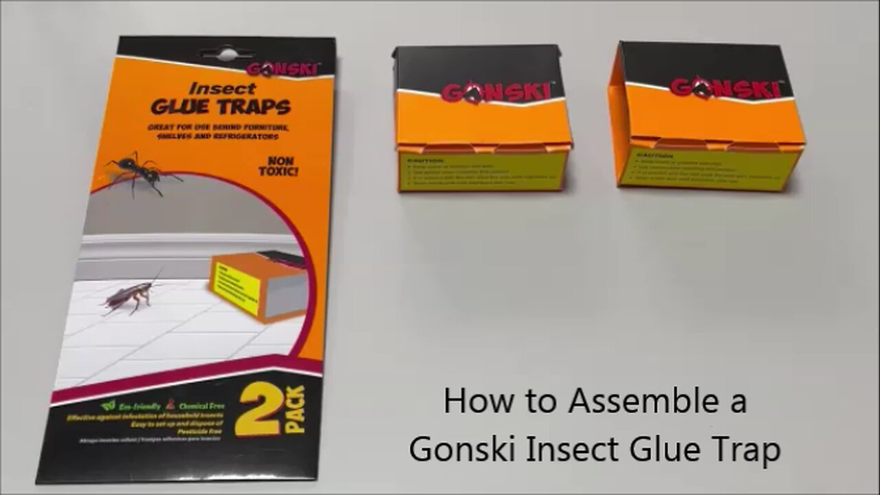 How to Assemble a Gonski Insect Glue Trap