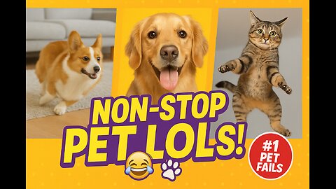 The FUNNIEST Pet Moments That Will Leave You Laughing Out Loud! 😂🐾