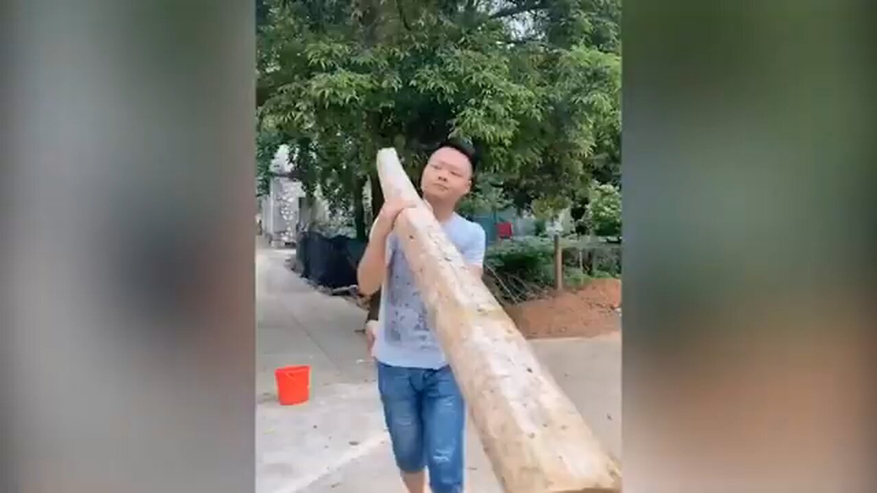 funny video