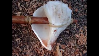 PRIMITIVE SURVIVAL, Shell Tools Of The Calusa Indians