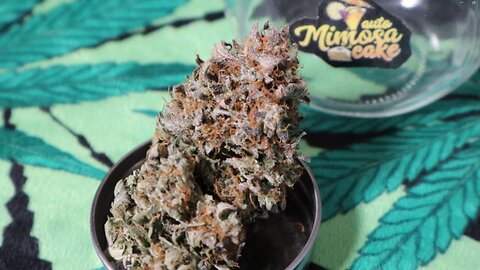 Mimosa Cake review