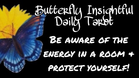 Butterfly Insightful Daily Tarot - The Shocking Truth About The Energy In The Room!