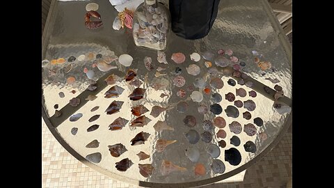 Beach Finds 11/14/2025 | 4K