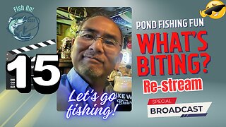 Urban Pond Fishing, Morning Bite On the Fly #mobile #fishing #livestream #restream - Episode 115
