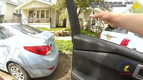 Woman and Her Leashed Dog Attacked by Pit Bull, Officer Responds with Fatal Shot