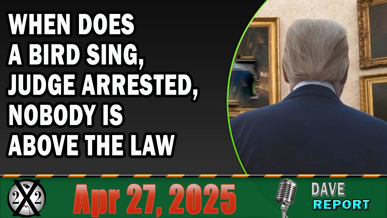 X22 Report - When Does A Bird Sing, Judge Arrested, Nobody Is Above The Law