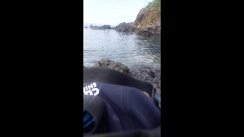 open water swimming