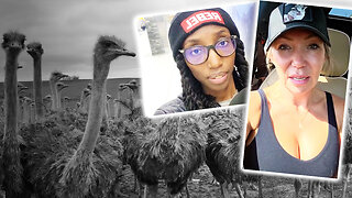 BREAKING: B.C. Ostrich cull to start this weekend, sources say