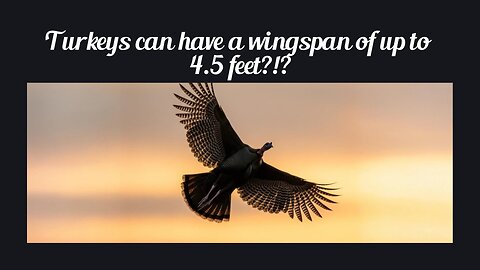 Fun Fact for May 29th 2025 Pt 1