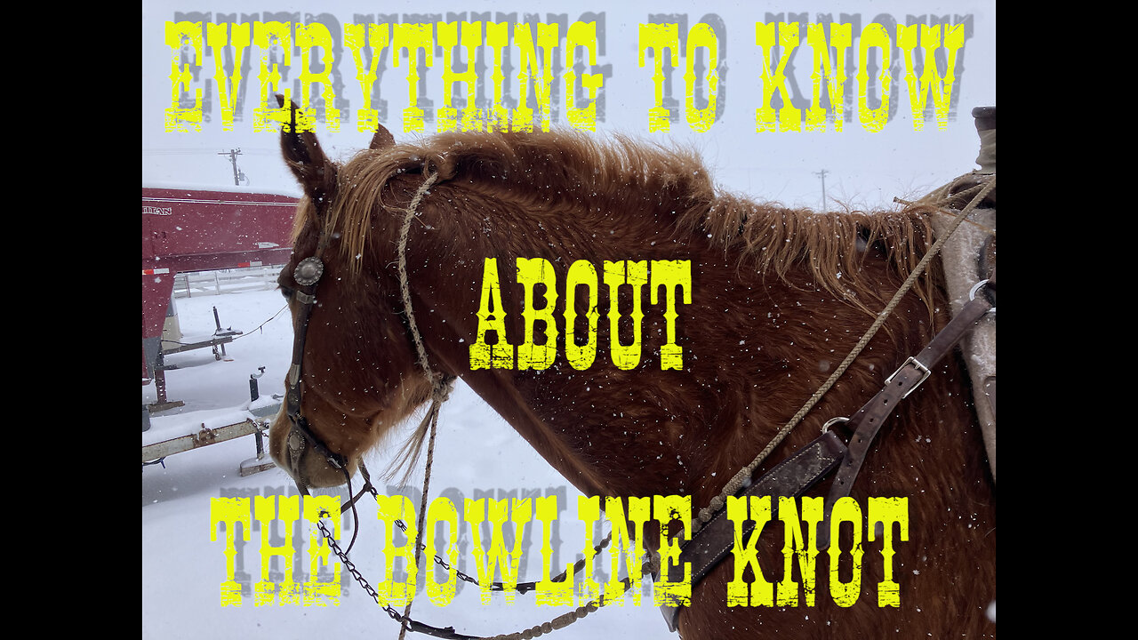 Everything to Know About the Bowline Knot