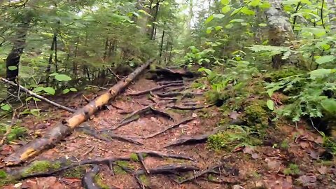 Take a Hike