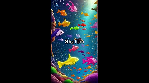 Shark Tale ( Shalom Kolontarov )