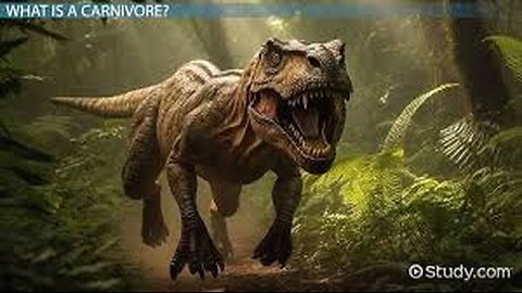 A Collision that changed Earth The Dinosaur Extinction