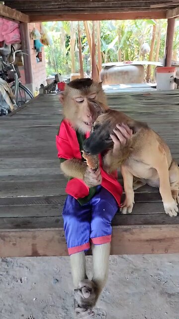 Well Best SokYaa, OG, Pao & Mom Are Famous Around The World #shorts #anime #trend #edit