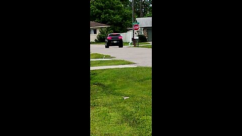 Blk SUV stalking/ghosting/ catfishing me & my house caught.