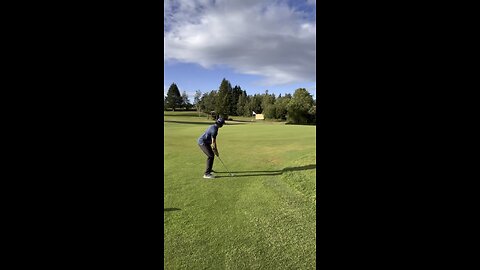 Birdie
