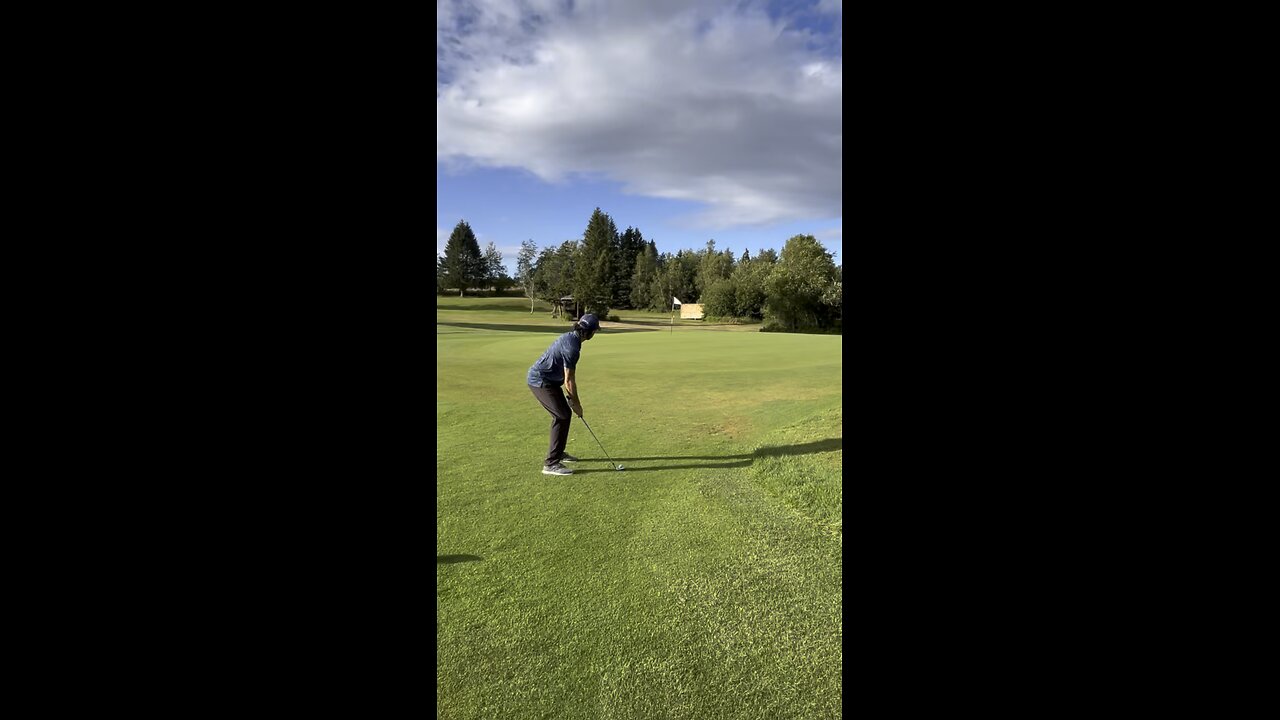 Birdie