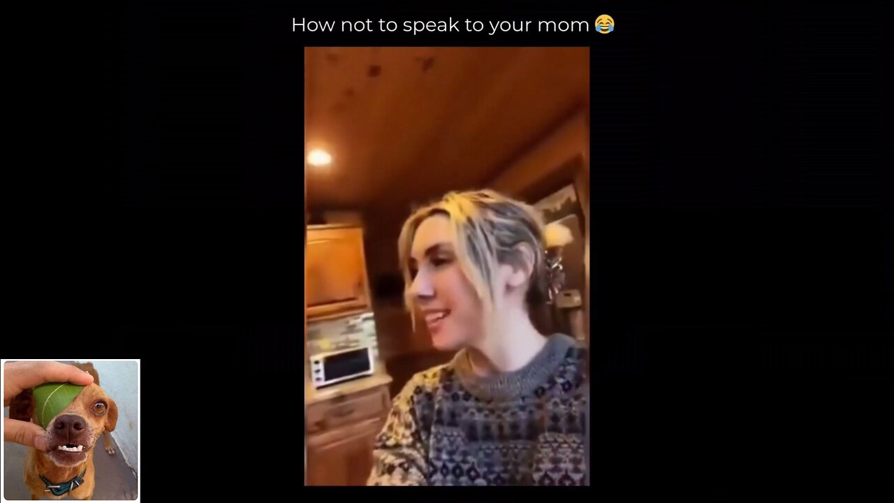 Funny videos compilation 6