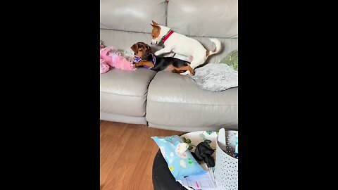 Dexter the massage therapist.