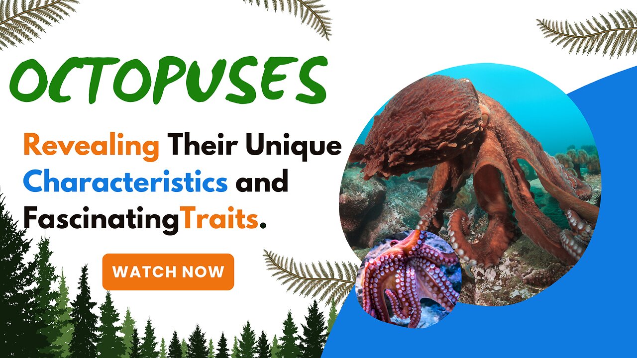 Octopuses, Revealing Their Unique Characteristics and Fascinating Traits.