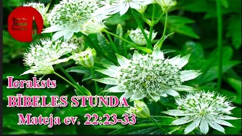 Bībeles stundas ieraksts, 4.09.2025.