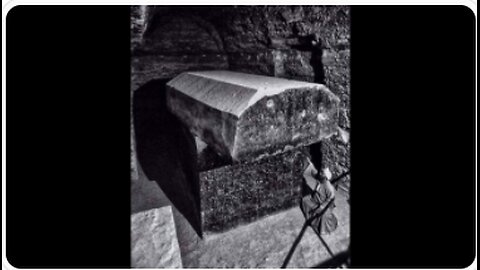 COOL STORY BRO - Wyldawgz Crazy World