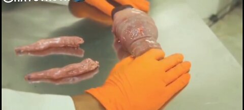 TTRANSHUMANISM LABORATORY