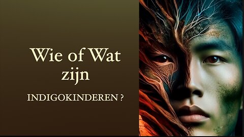 Wie of wat zijn INDIGOKINDEREN