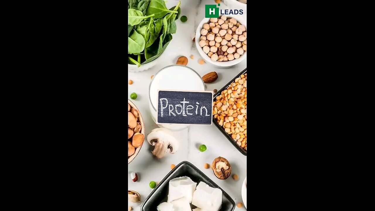 Top 5 protin vegitarian