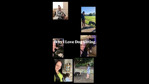 Must Love Dogs 💯🐶🐾